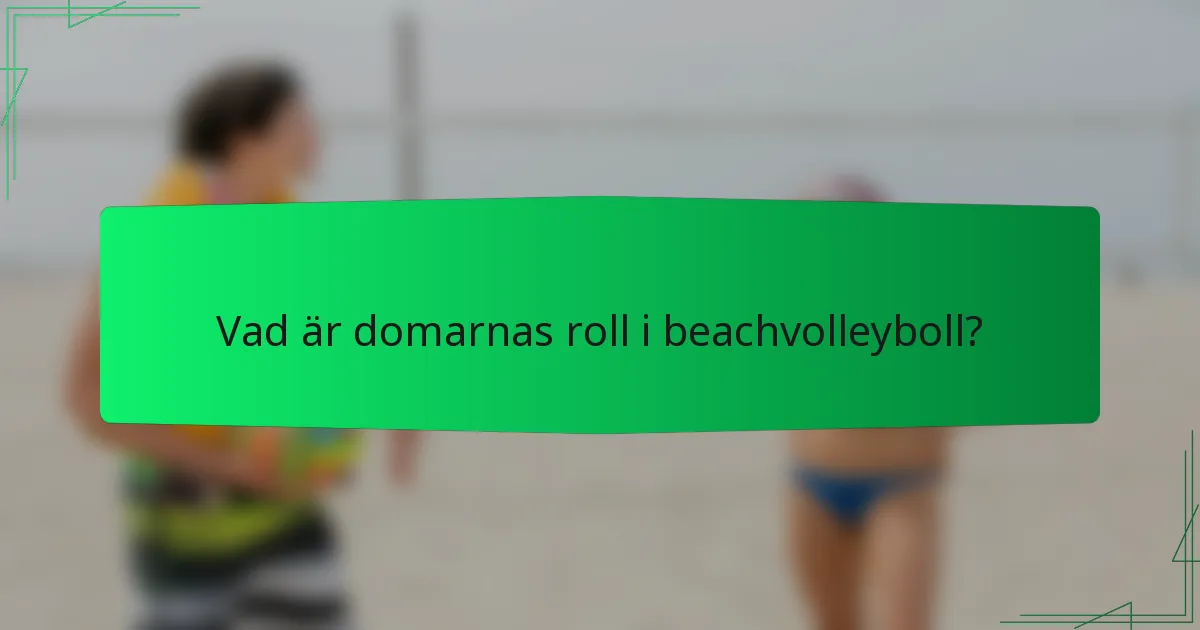 Vad är domarnas roll i beachvolleyboll?